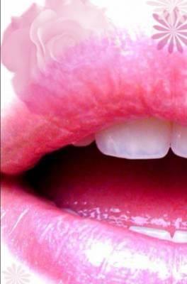  bouche  fleur  rose 